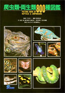 爬虫類・両生類800種図鑑