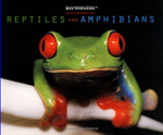 REPTILES AND AMPHIBIANS