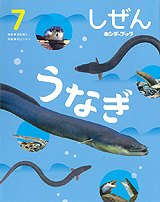 ������E���Ȃ�