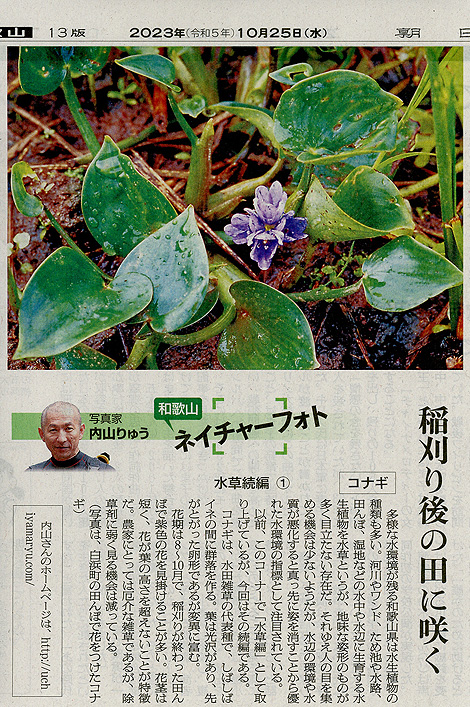 和歌山ネイチャーフォト