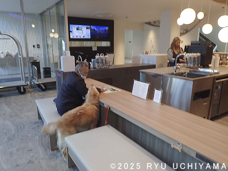 ドッグ・ウォッシュ