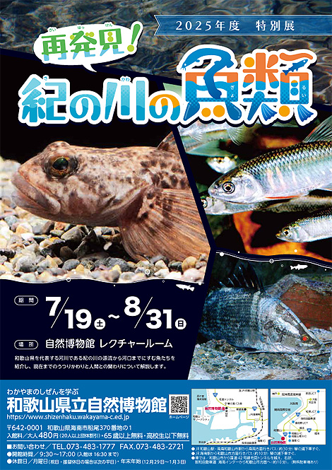 もしもウナギがいなかったら?