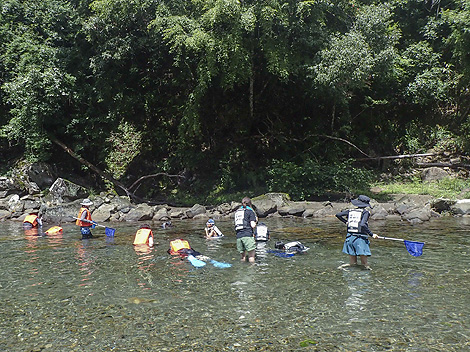 熊野の水と生き物