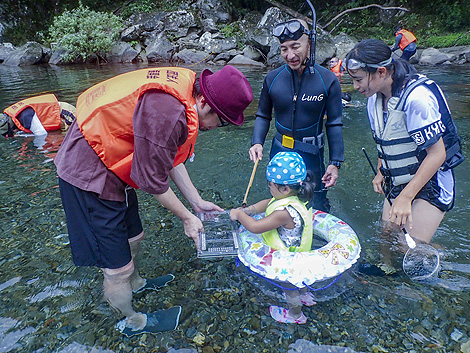熊野の水と生き物
