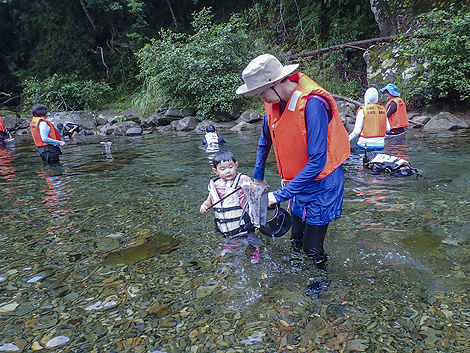 熊野の水と生き物