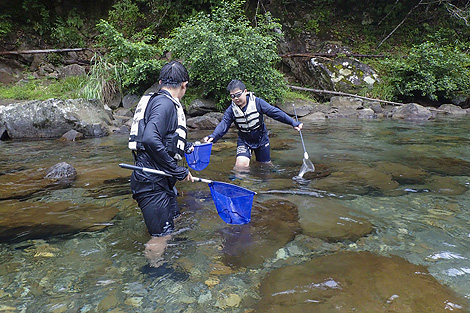 熊野の水と生き物