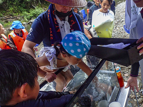 熊野の水と生き物