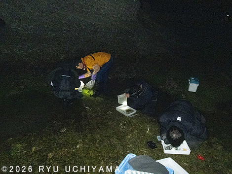 白浜町でパンダ