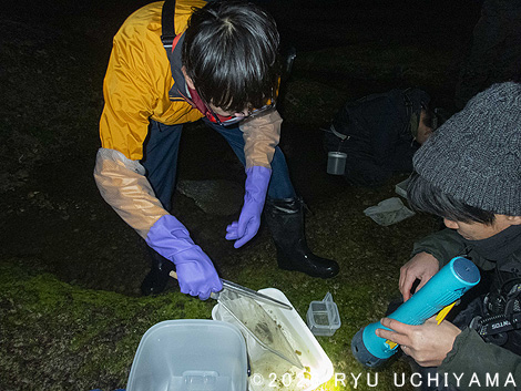 白浜町でパンダ