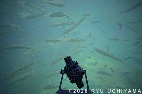 サイピアでの講演会