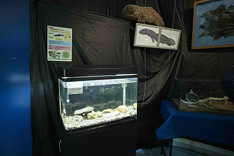 サイピアでの講演会