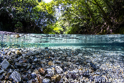 さわやか自然百景