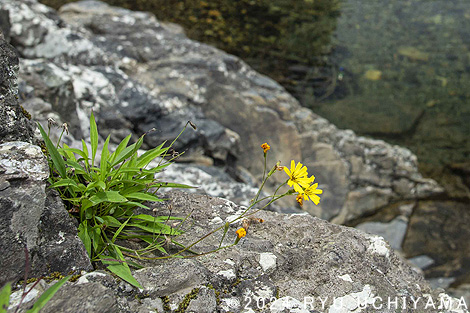 さわやか自然百景