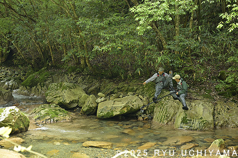 さわやか自然百景
