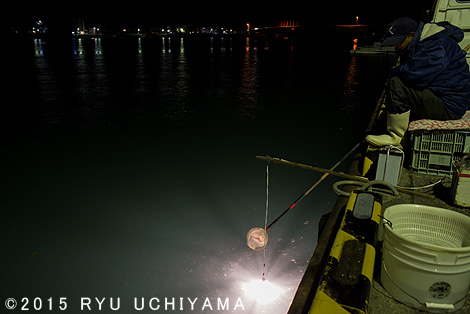 古座川のシラスウナギ漁