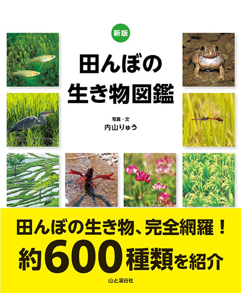 田んぼの生き物図鑑