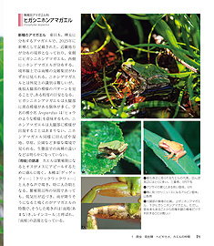 �c��ڂ̐������}��