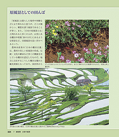 �c��ڂ̐������}��