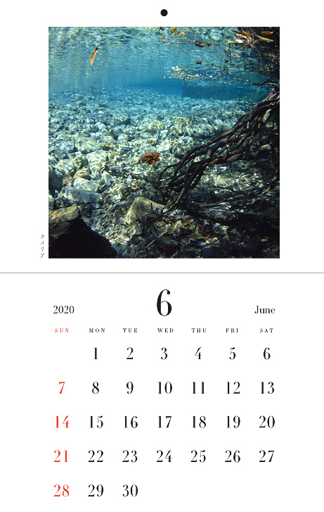 2020年 「水の国、わかやま。」 カレンダー！
